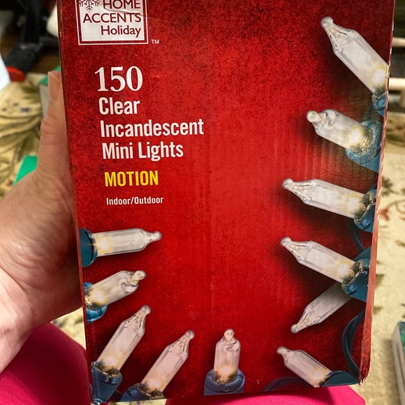 Home Accents Holiday Holiday Home Accents Holiday Mini Lights